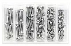 Bolt Hardware M6 Euro Torx Flange Bolt Assortment 100 Piece Kit