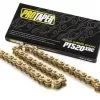 Pro Taper Gold Series PT 520 XRC Chain